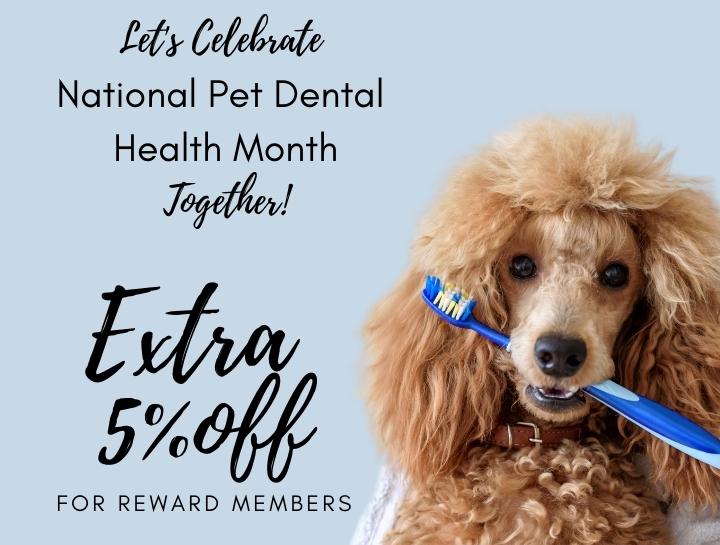 Extra 5% in Rewards for National Pet Dental Health Month