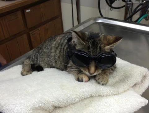 Laser Surgery